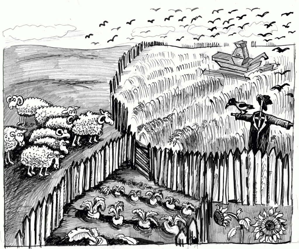 Кредит на сх